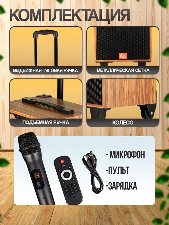 Portativ kalonkalar karaoke, Bluetooth kalonka mikrafon, masofadan boshqarish pulti