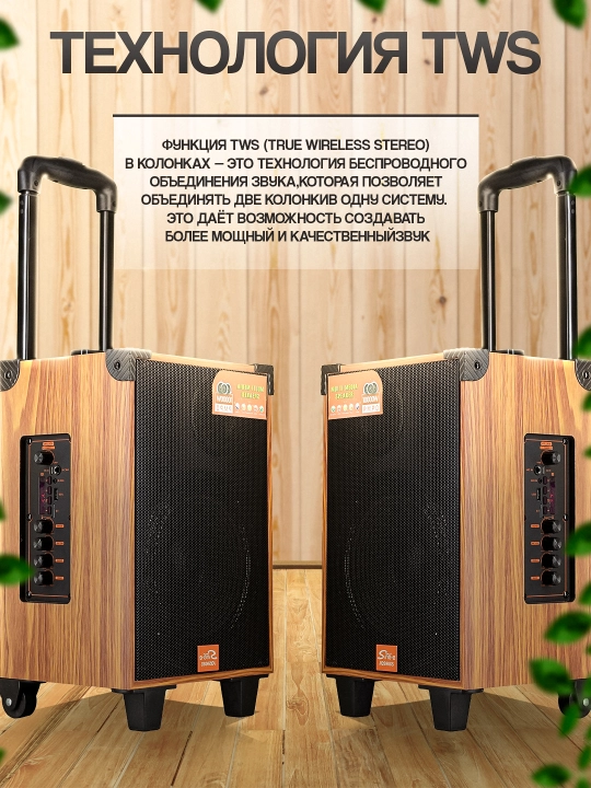Portativ kalonkalar karaoke, Bluetooth kalonka mikrafon, masofadan boshqarish pulti