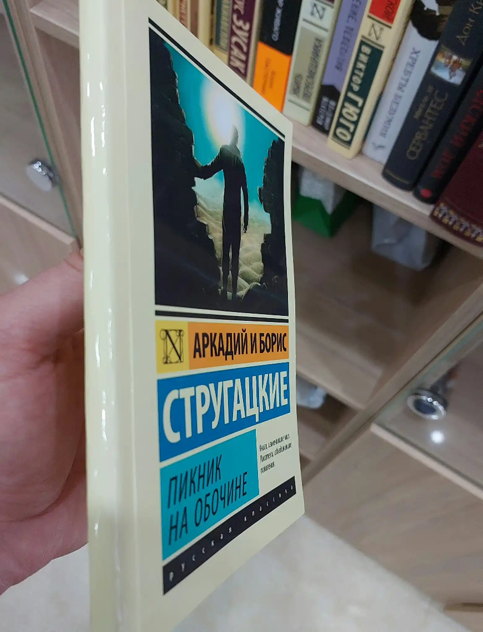 Пикник на обочине, Стругацкий
