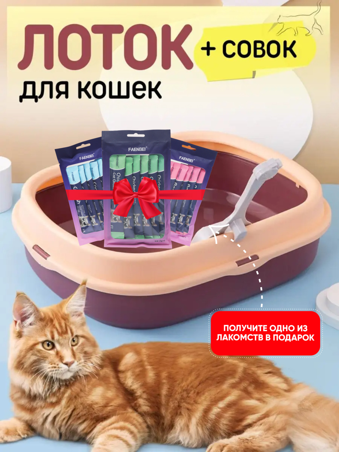 Reychel Star kokraklari bilan jinsiy olatni silaydi va uning ogzida juni his qiladi