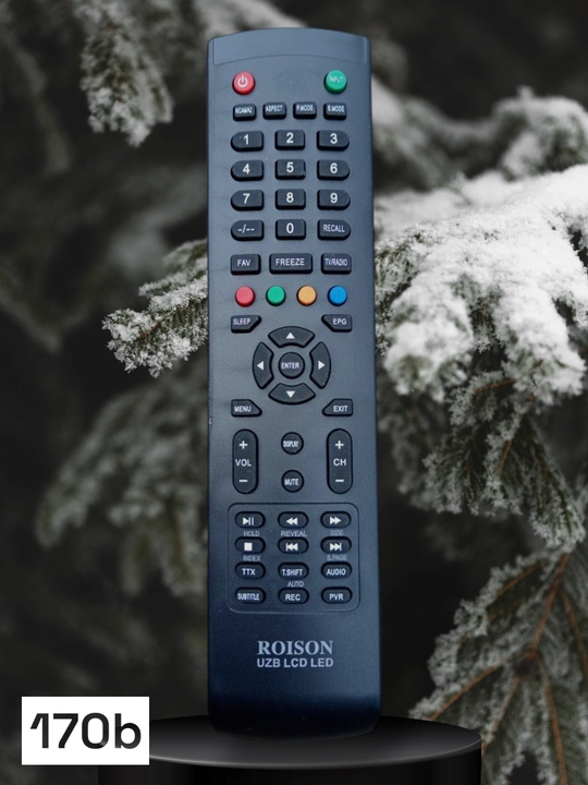 Roison TV uchun universal pult