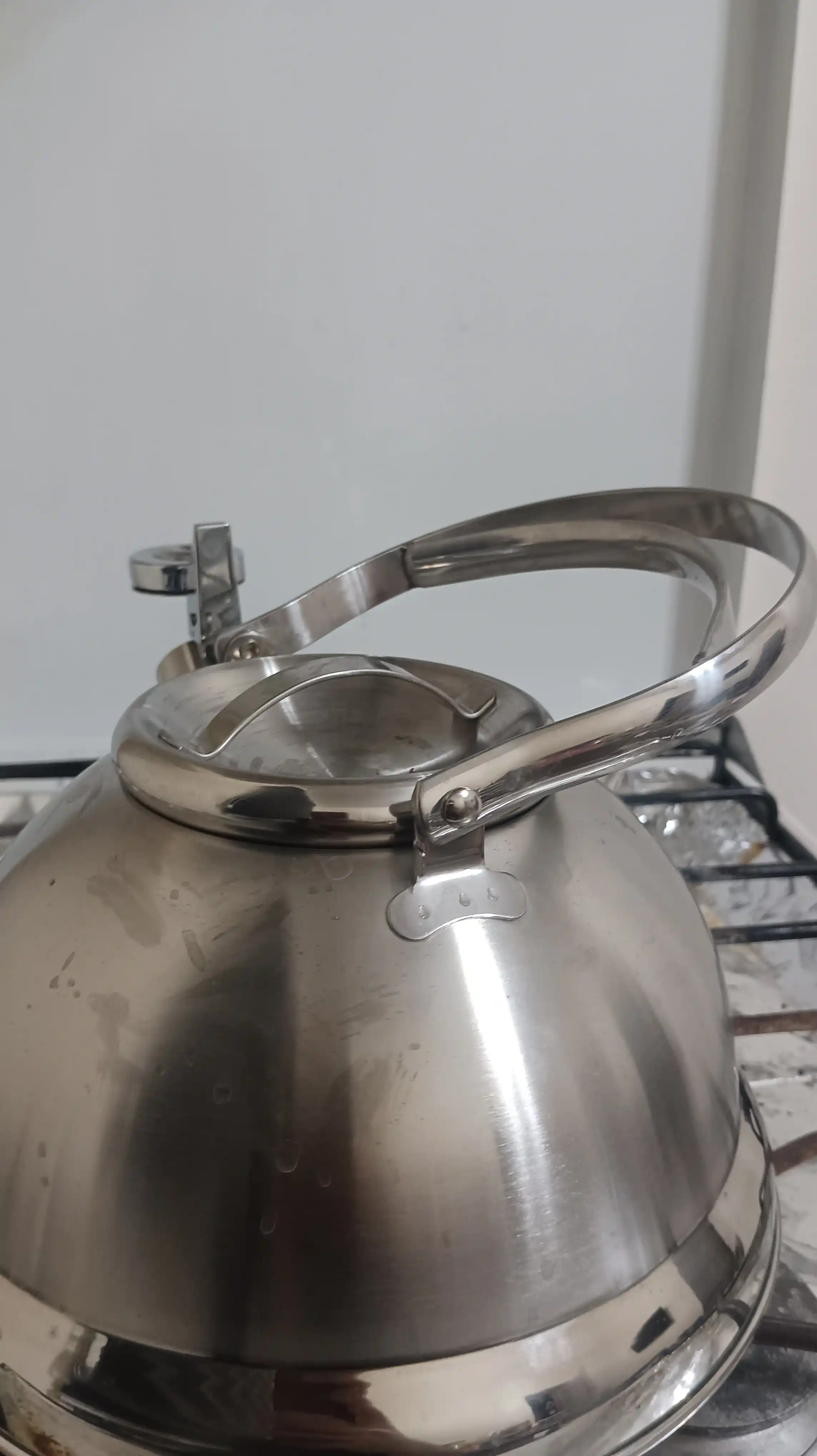 Чайник со свистком Vicalina 3 л, для газа и всех видов плит