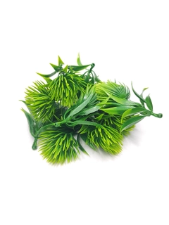 Xantal