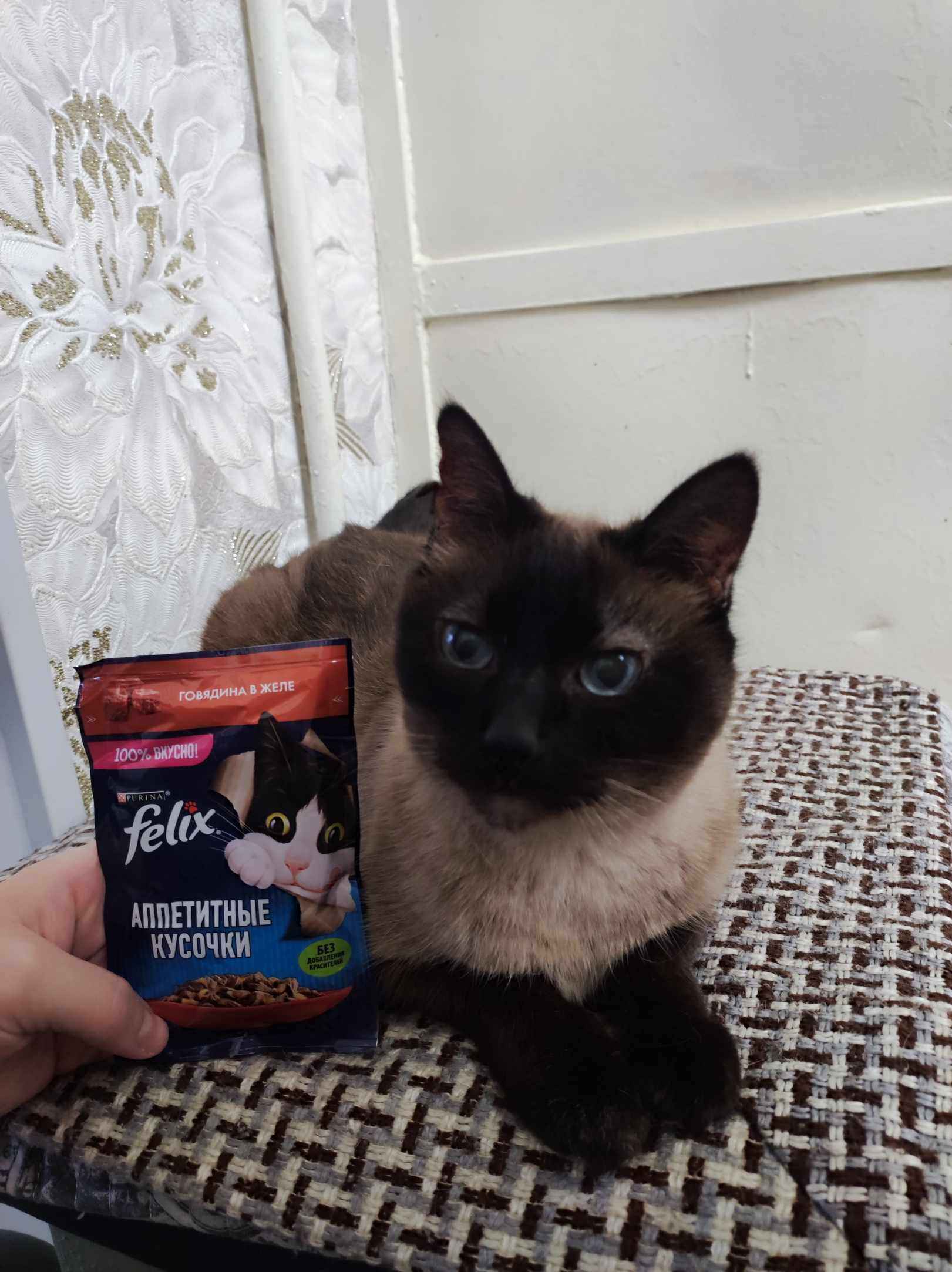 Yalangoch televizor yulduzlarining pornografik tasvirlari HD sifatida etuk eshak porno