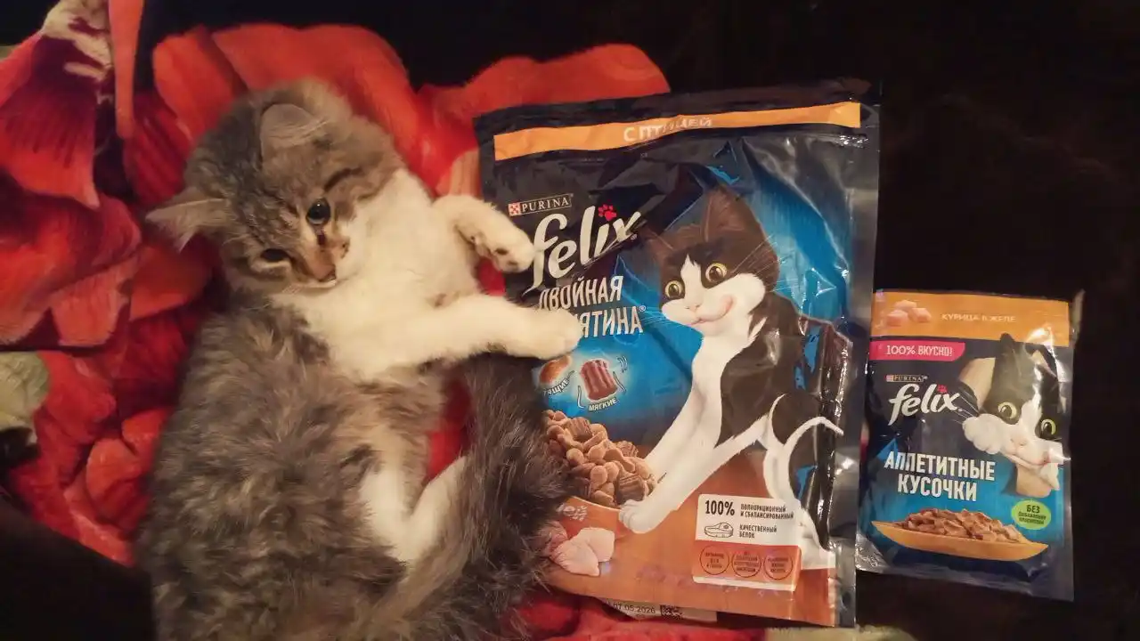 Felix Ikki barobar mazali mushuklar uchun nam ovqat, parranda go'shti bilan, 600 gr