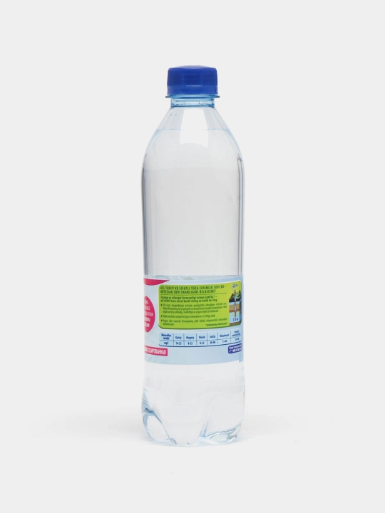Gazlangan suv SANTAL, 0.5 litr dan 12 dona