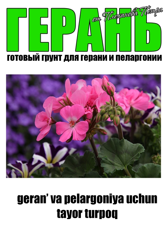 Geran - geran' va pelargoniyalar uchun Pyotr Plexanovdan tayor grunt bog' va uy gullari