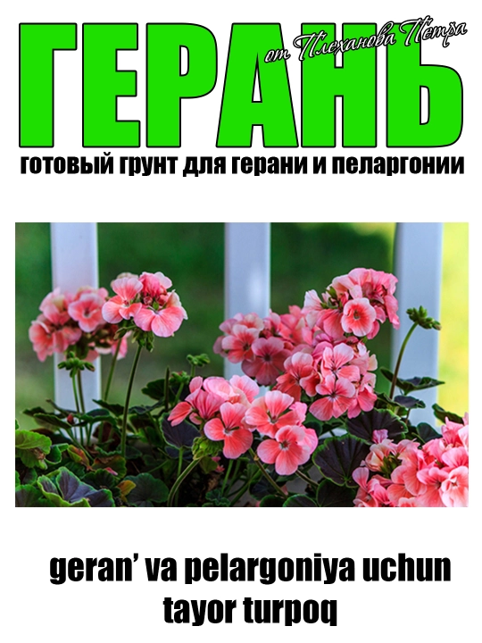 Geran - geran' va pelargoniyalar uchun Pyotr Plexanovdan tayor grunt bog' va uy gullari