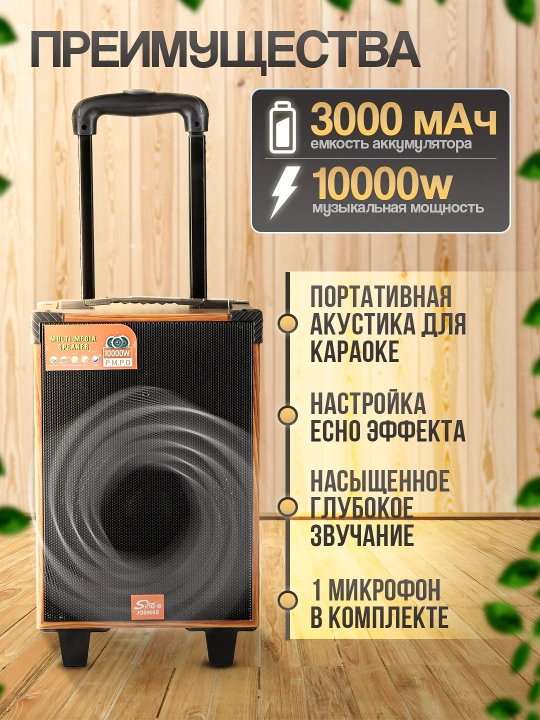 Portativ kalonkalar karaoke, Bluetooth kalonka mikrafon, masofadan boshqarish pulti