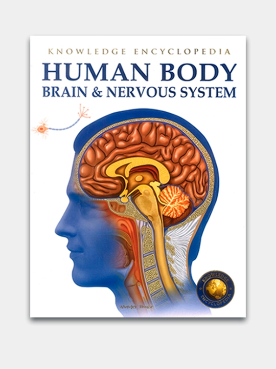 Knowledge Encyclopedia For Children. Human Body