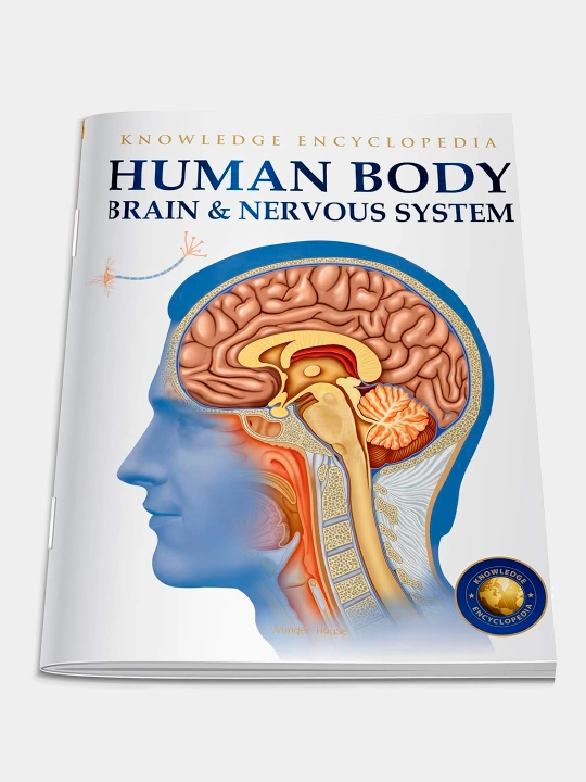 Knowledge Encyclopedia For Children. Human Body