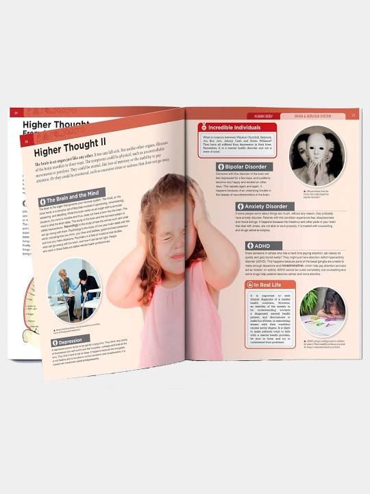 Knowledge Encyclopedia For Children. Human Body