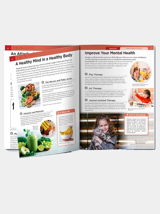 Knowledge Encyclopedia For Children. Human Body