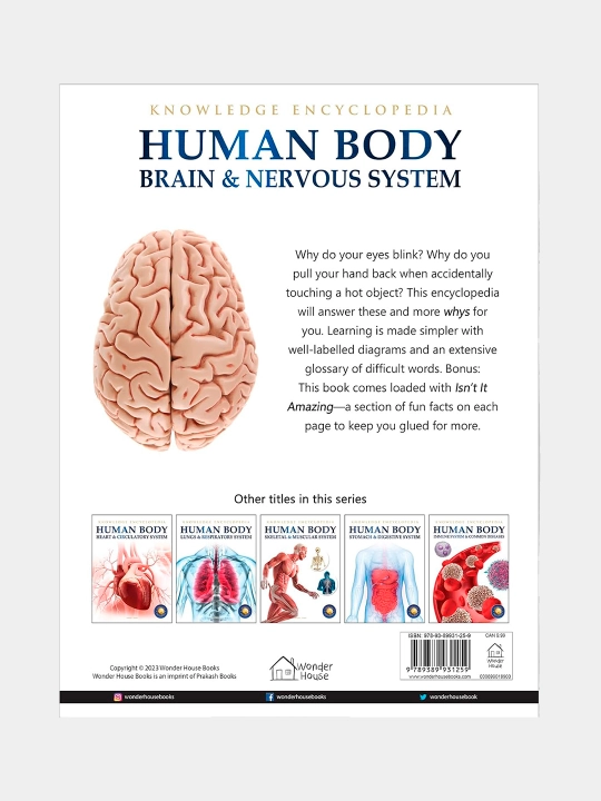 Knowledge Encyclopedia For Children. Human Body