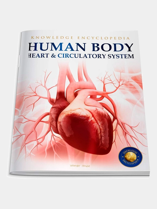 Knowledge Encyclopedia For Children. Human Body