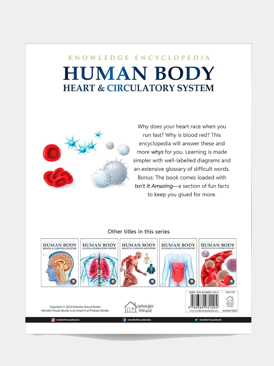 Knowledge Encyclopedia For Children. Human Body