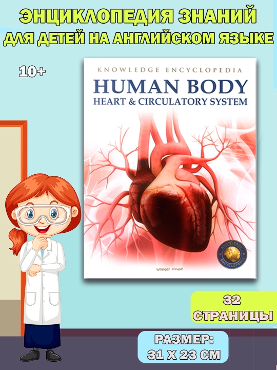 Knowledge Encyclopedia For Children. Human Body - 