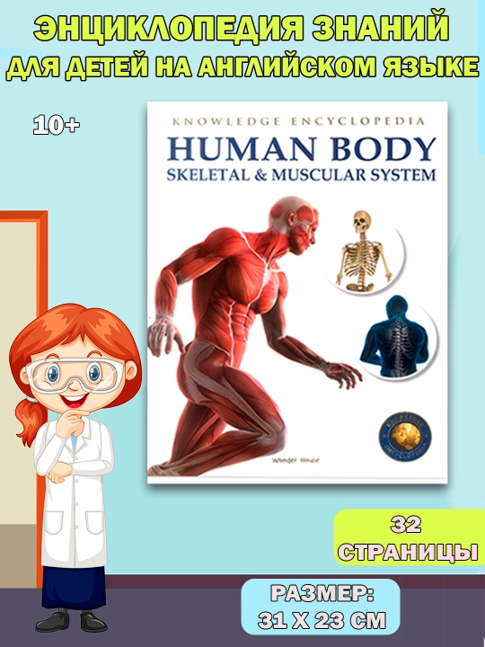 Knowledge Encyclopedia For Children. Human Body - 
