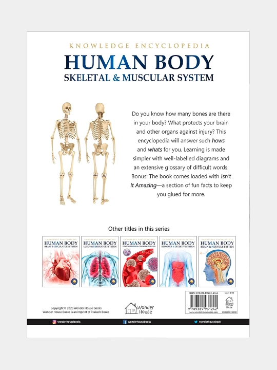 Knowledge Encyclopedia For Children. Human Body