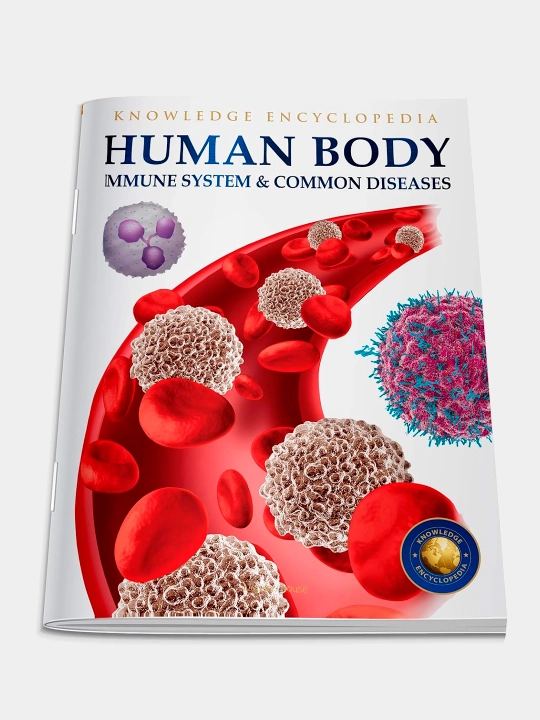 Knowledge Encyclopedia For Children. Human Body