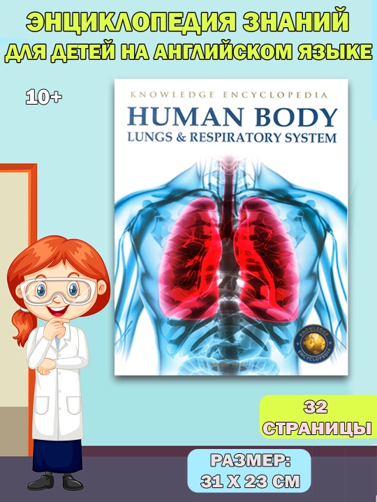 Knowledge Encyclopedia For Children. Human Body - 