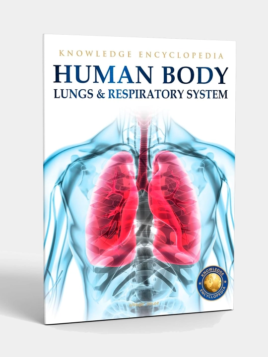 Knowledge Encyclopedia For Children. Human Body