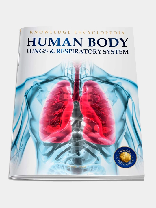Knowledge Encyclopedia For Children. Human Body