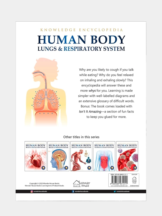 Knowledge Encyclopedia For Children. Human Body