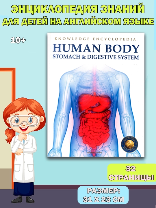 Knowledge Encyclopedia For Children. Human Body - 