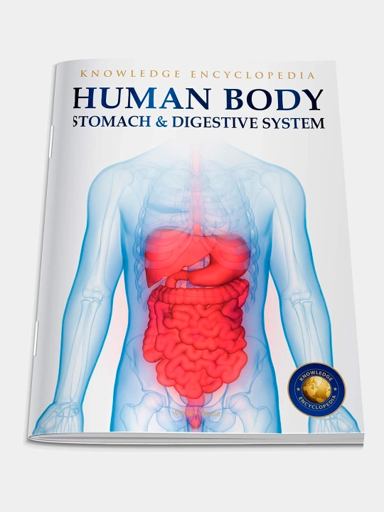 Knowledge Encyclopedia For Children. Human Body