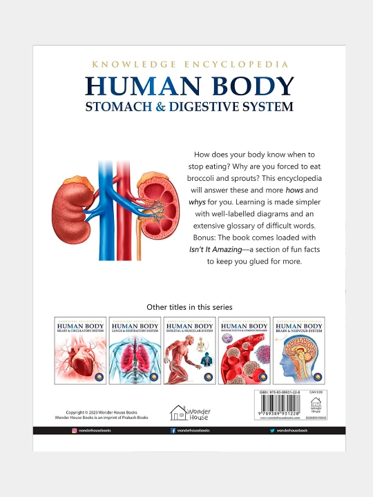 Knowledge Encyclopedia For Children. Human Body