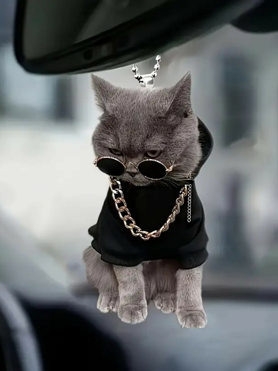 Qorda yalangoch video