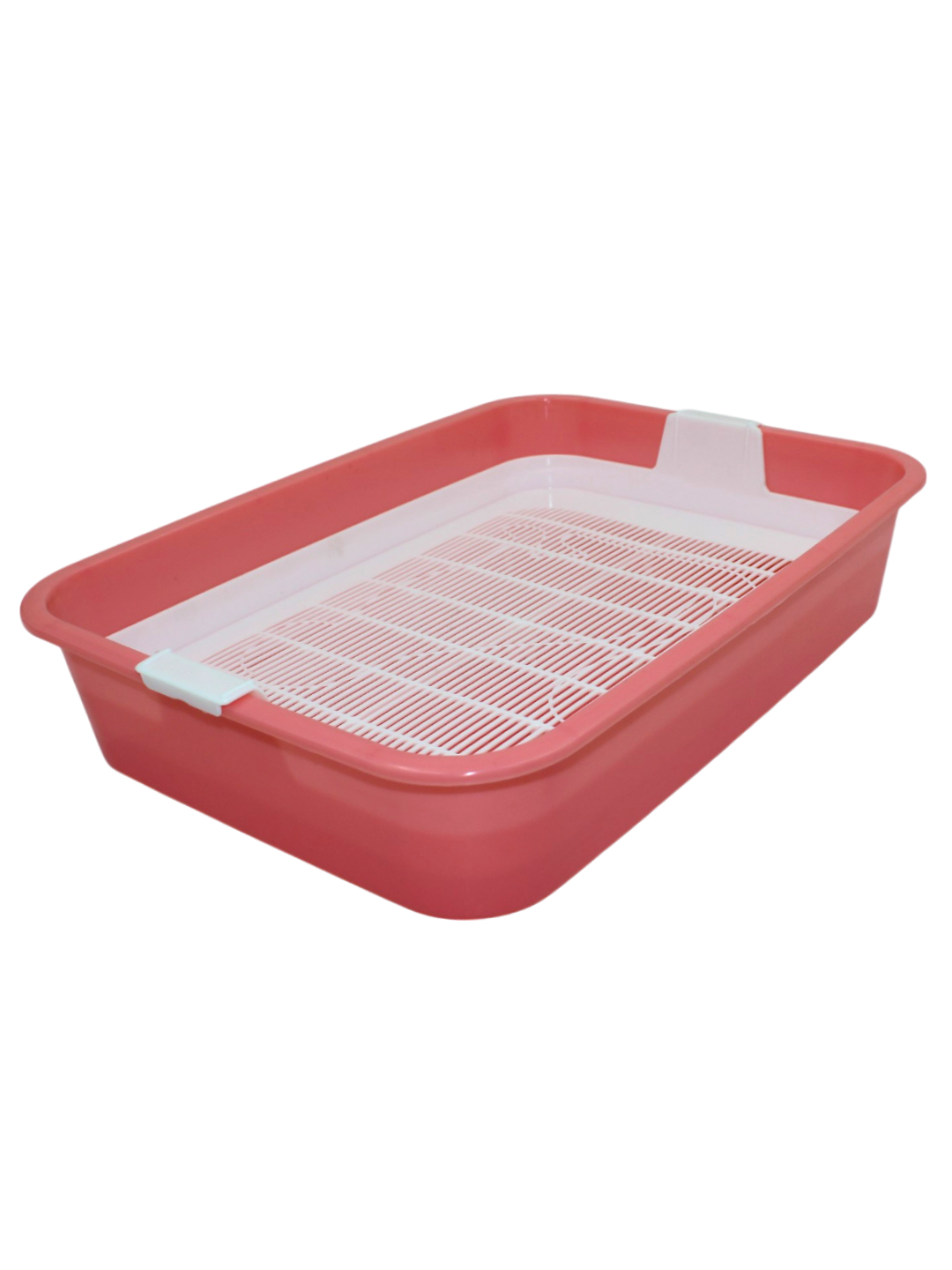 Erkak jinsiy olatni surati Plyajdagi yalangoch juftliklar fotosuratlari