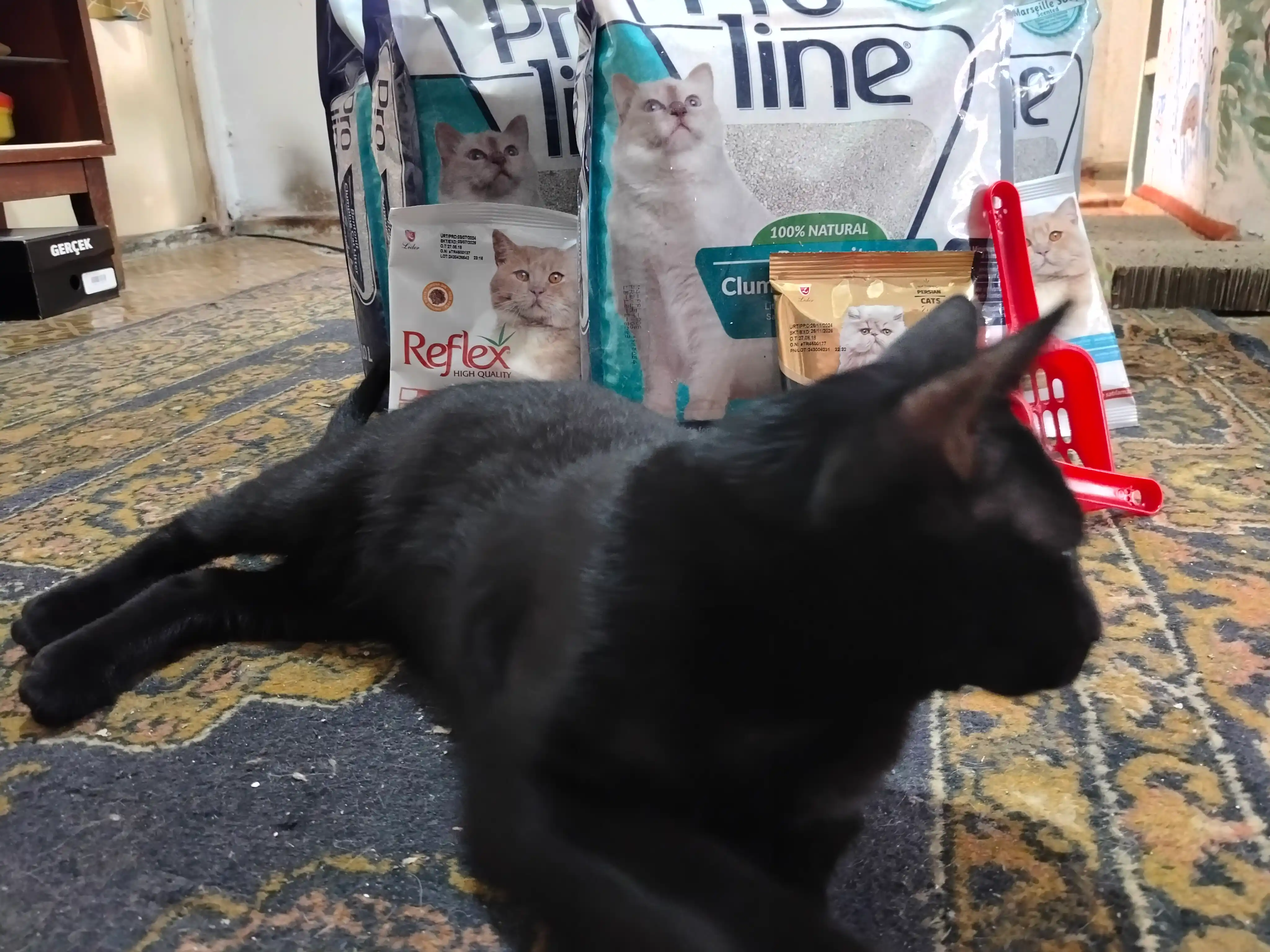 Proline bentonit, marsel sovunining xushbo'y hidi bilan, 8.5 kg