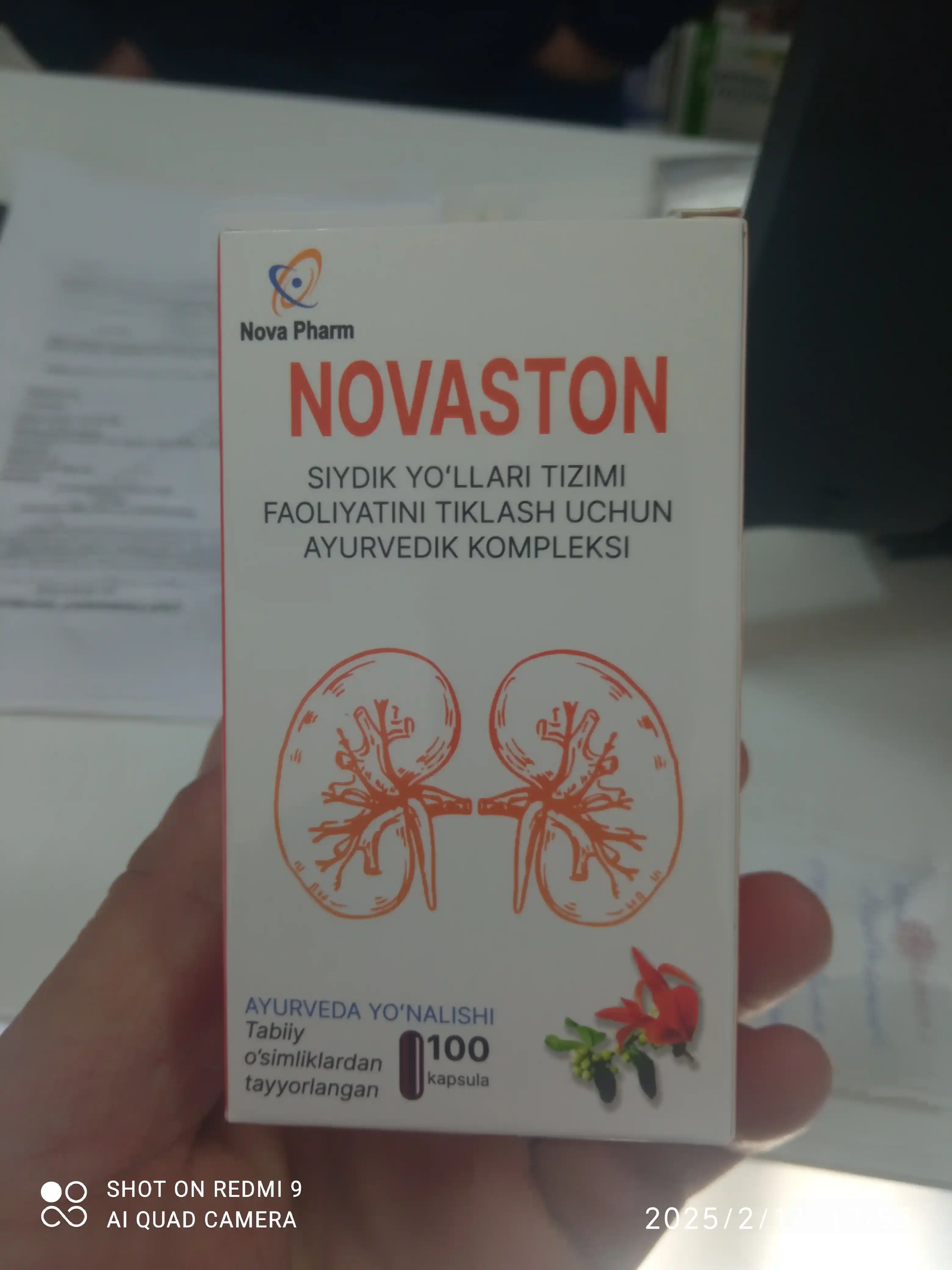 Novaston 100 kapsula buyrakdagi toshlarga, sistitga qarshi siydik tizimi uchun BQF vitamin