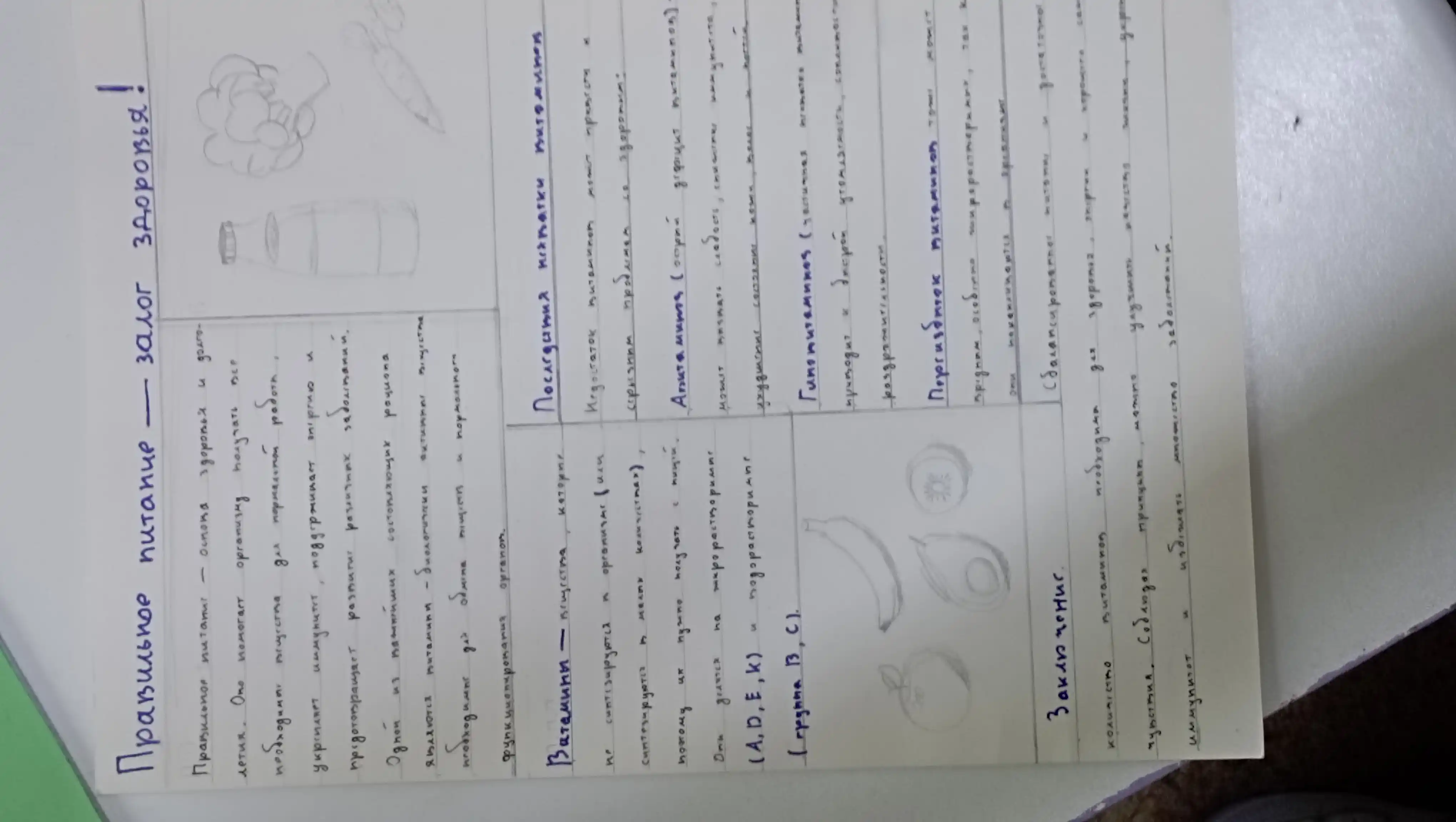 Erkaklar va ayollar uchun uzun sport paypoqlari,  printlik baxorgi paypoqlar, 36-41
