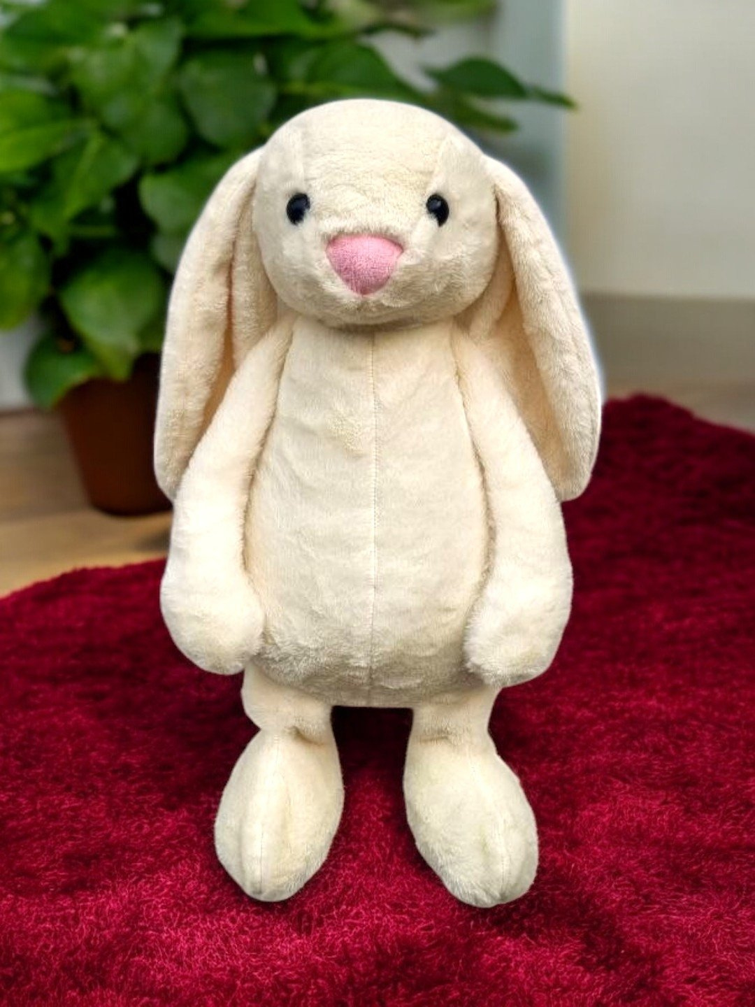 Raleigh jinsiy aloqa video