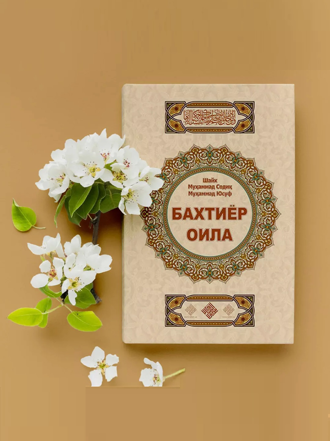 Саша Грейдің музыкалық бейнесі