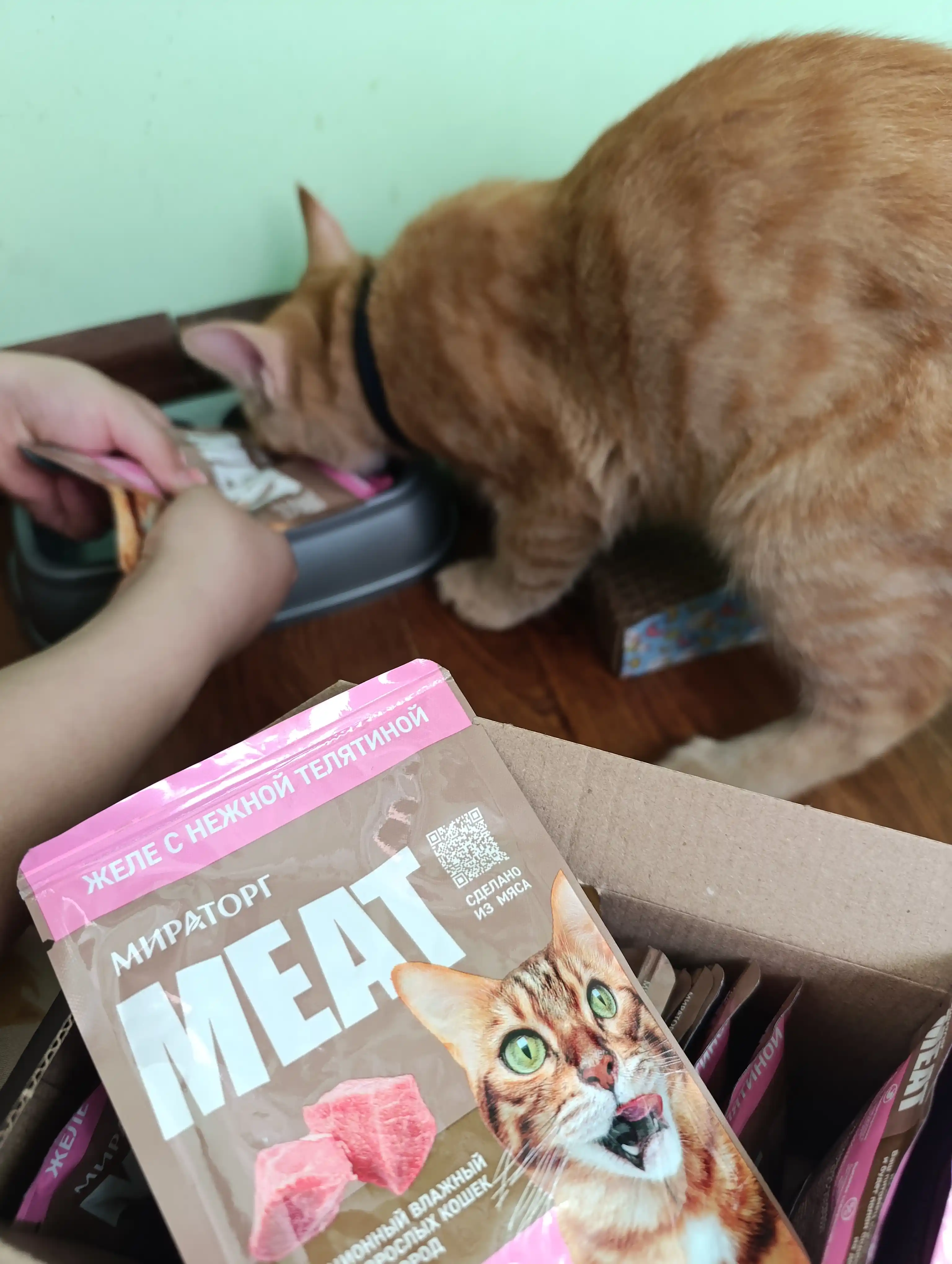 Мираторг Extra Meat влажный корм для кошек, телятина в желе, 75 г, 28 шт