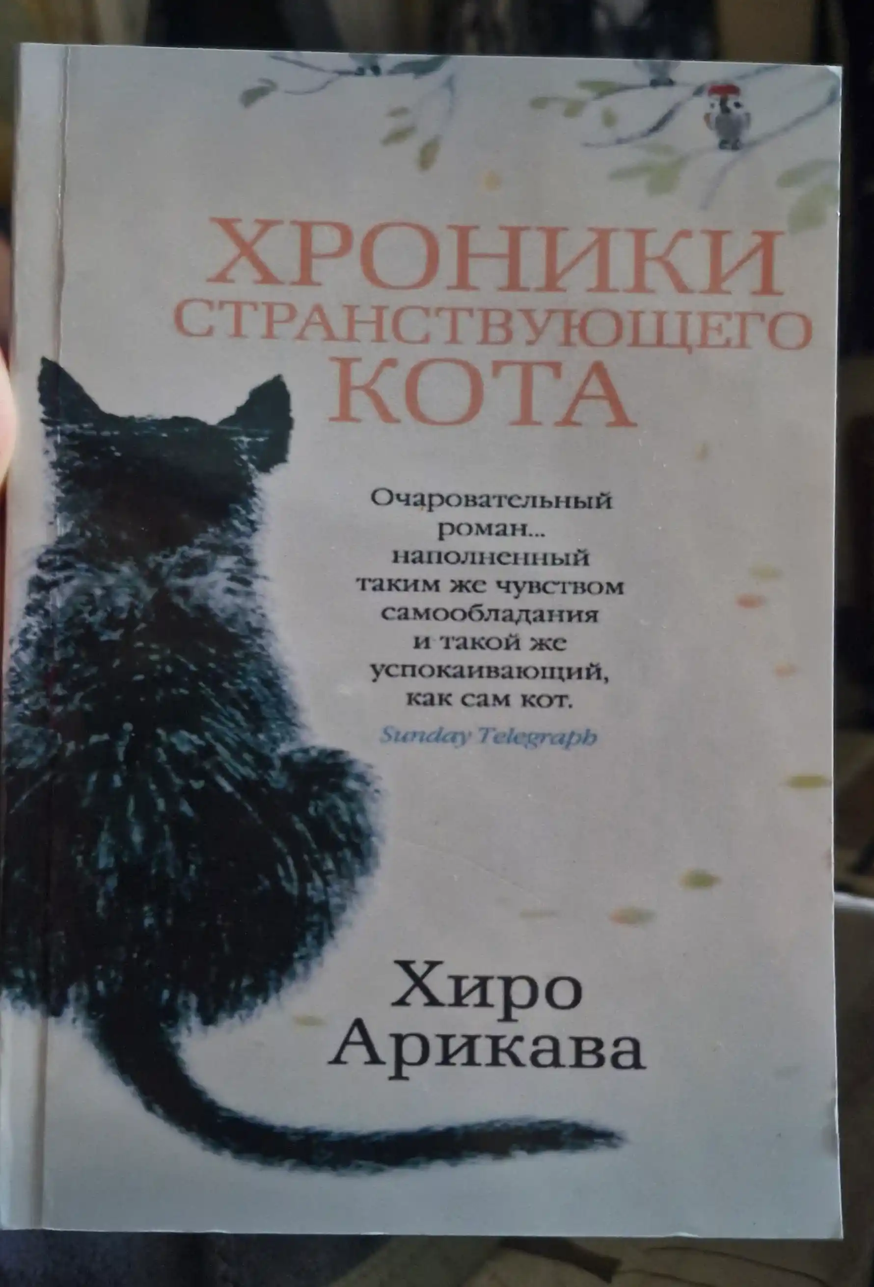 Khroniki stranstvuyushchego kota, Arikava Khiro