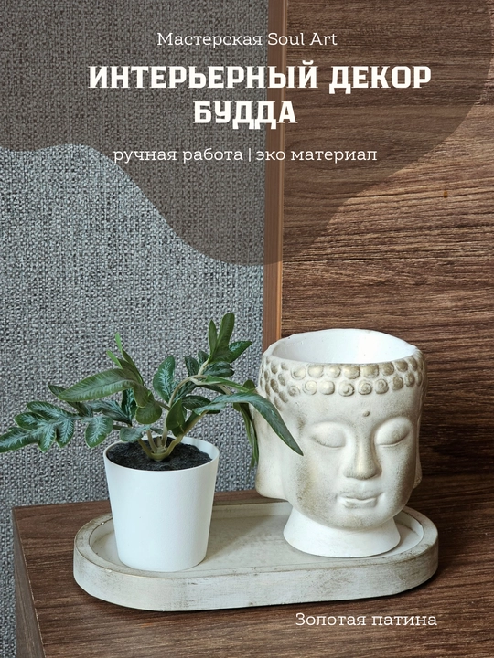 Kashpo "Budda boshi", podstavka va gul bilan to'plamda, va alohida