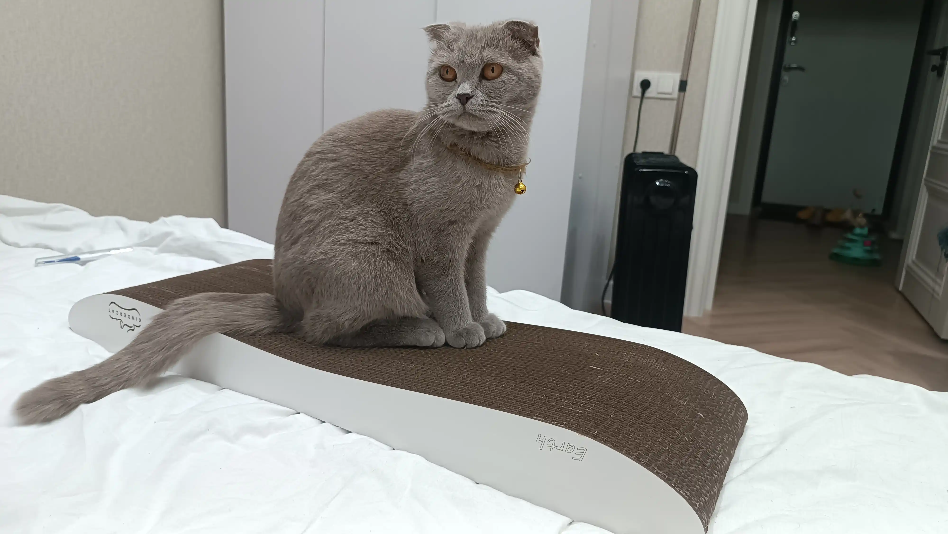 Mushuklar va mushukchalar uchun "KinderCat Earth" karton tirnoqchasi