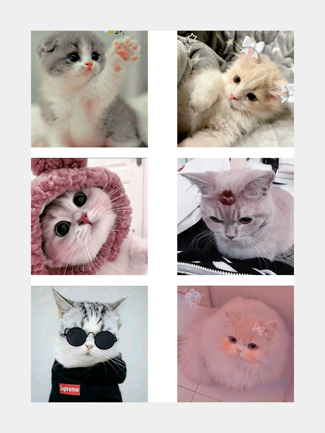 Berkova yotoqxonasida jinsiy aloqani tomosha qiling Qadimgi kaltaklar