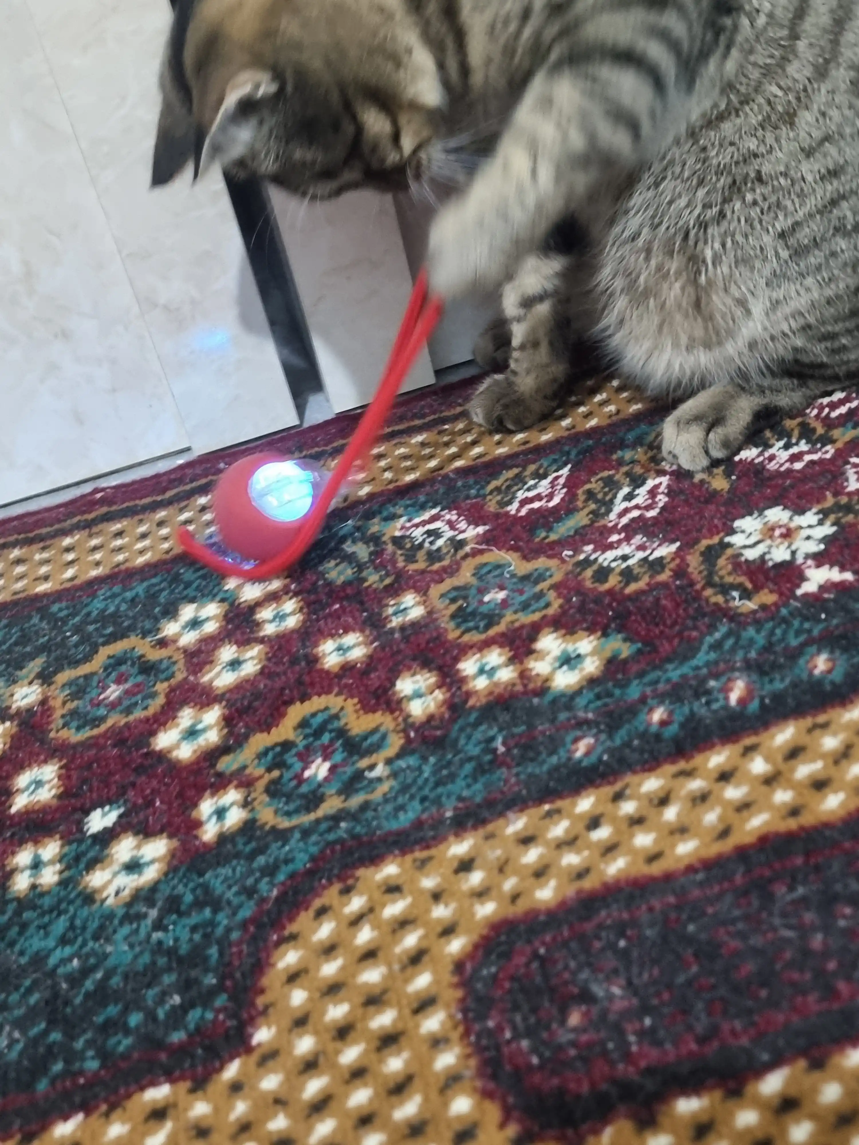 Умный самокатящийся кошачий шар