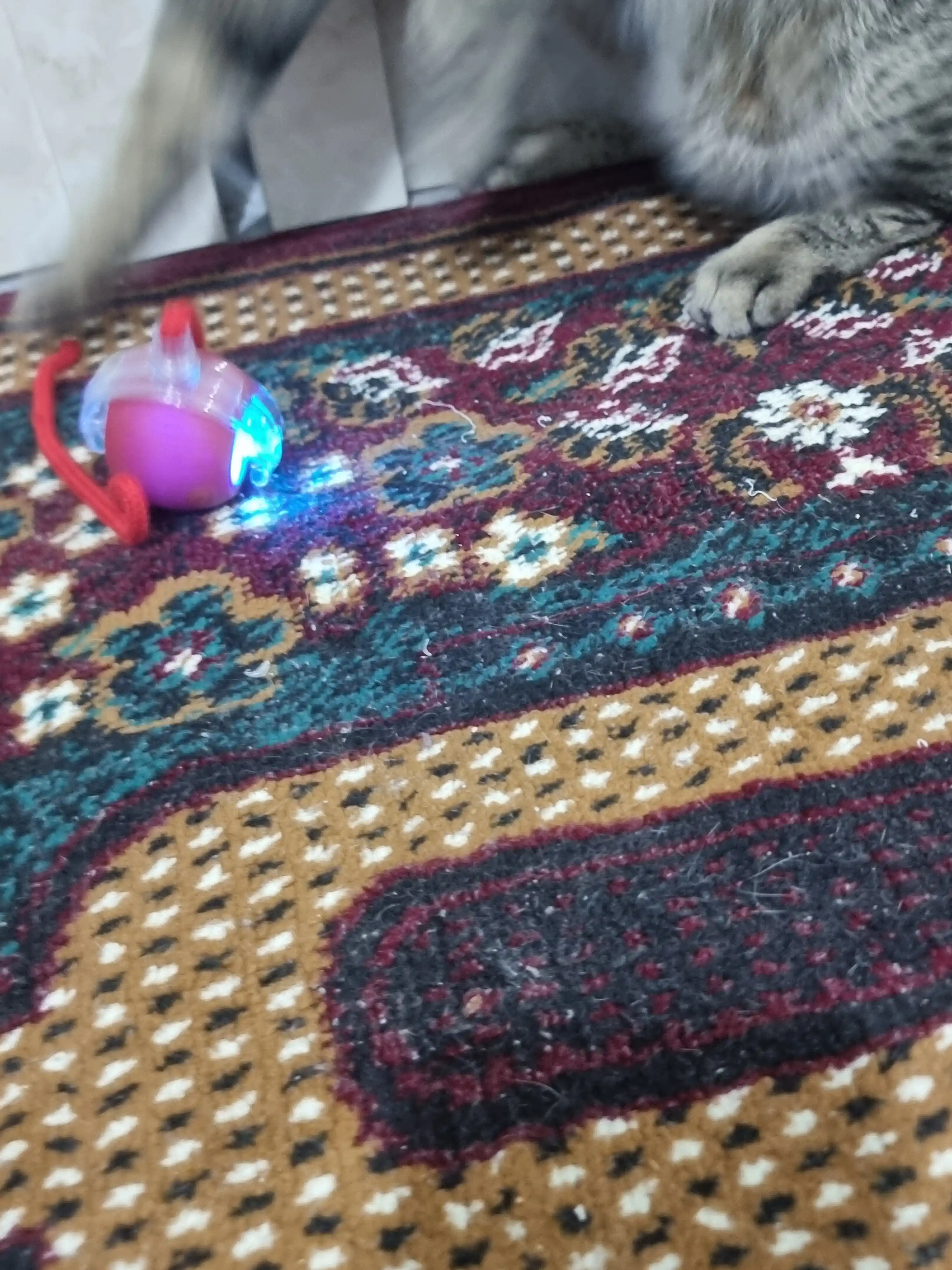 Умный самокатящийся кошачий шар