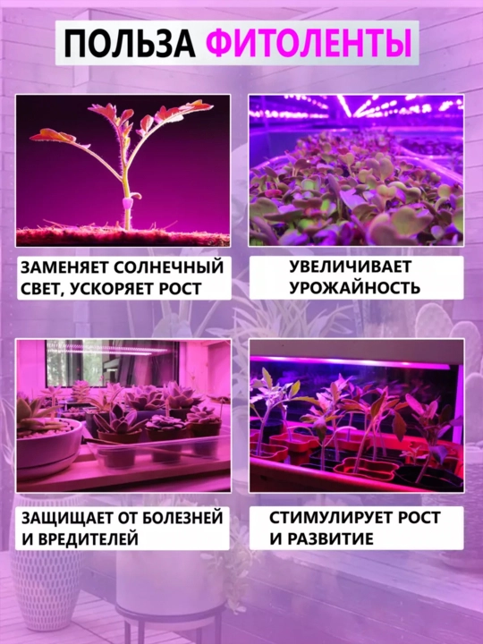 Фитолента, фитолампа для растений и рассады, с датчиком движения