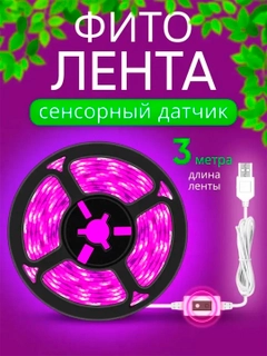 Бежевый