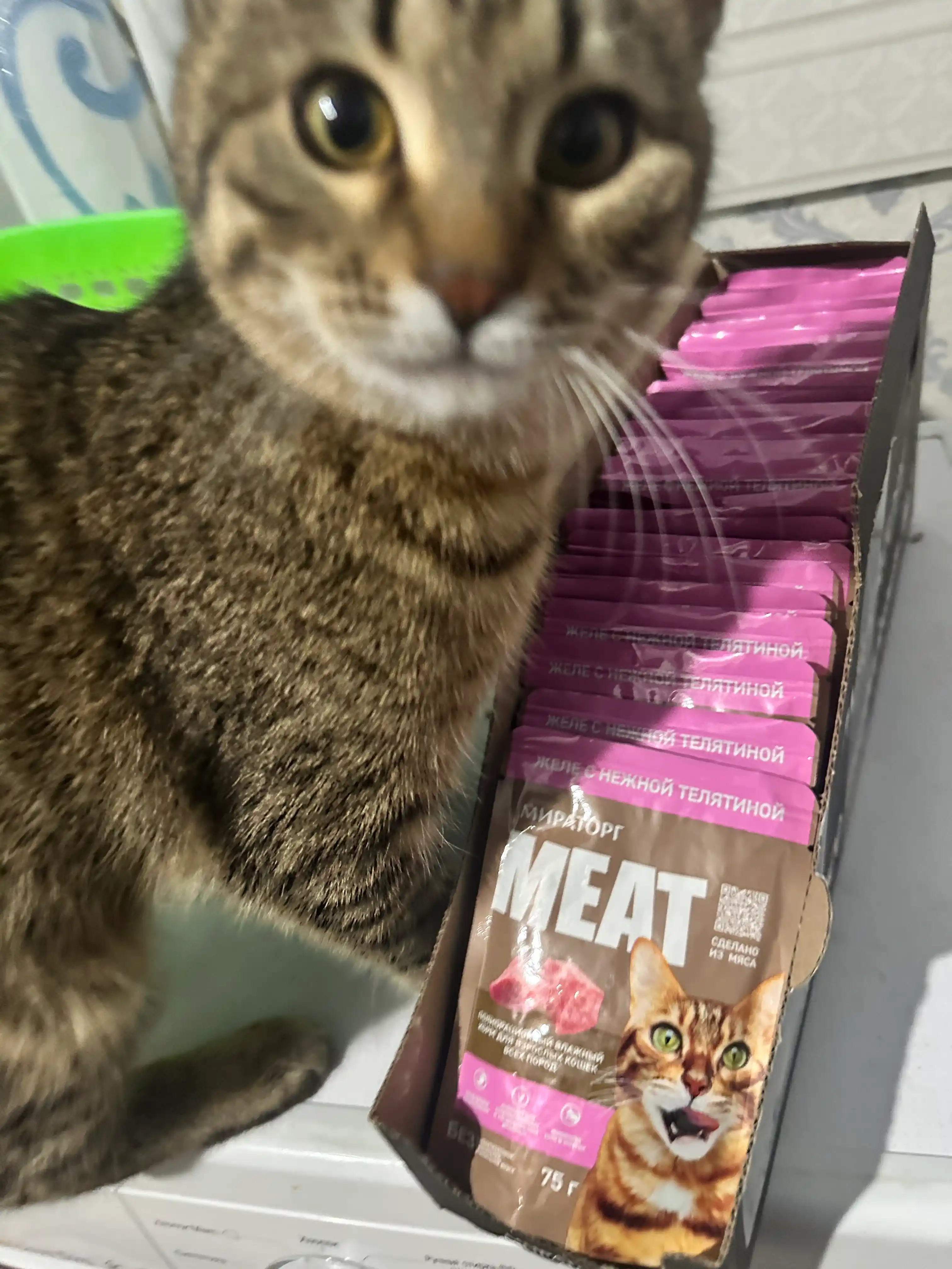 Мираторг Extra Meat влажный корм для кошек, телятина в желе, 75 г, 28 шт