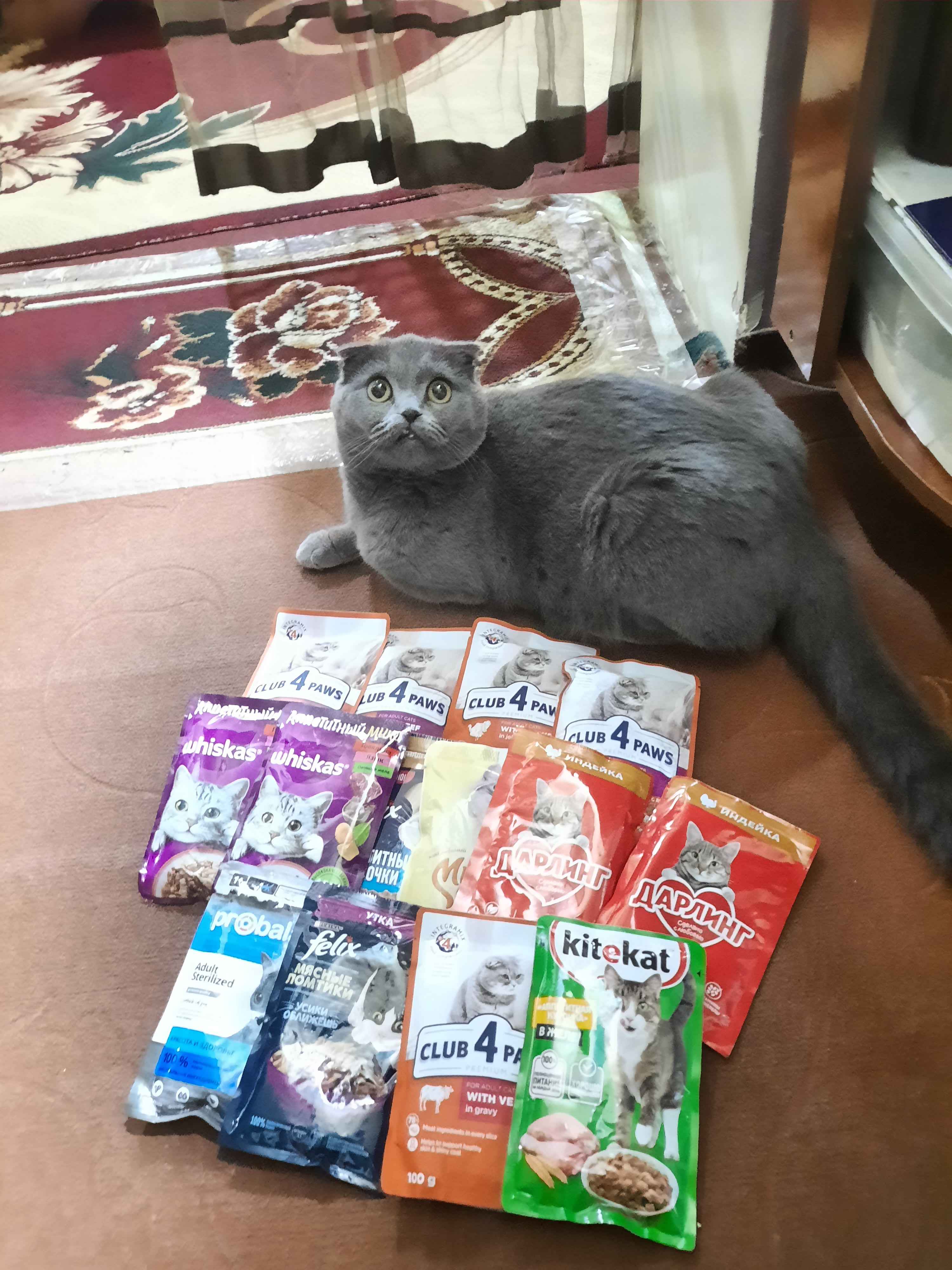 Voyaga etganlar uchun porno rasmlarni tomosha qiling