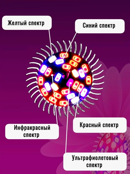 Fitolampalar, to'liq spektr, zokol E27